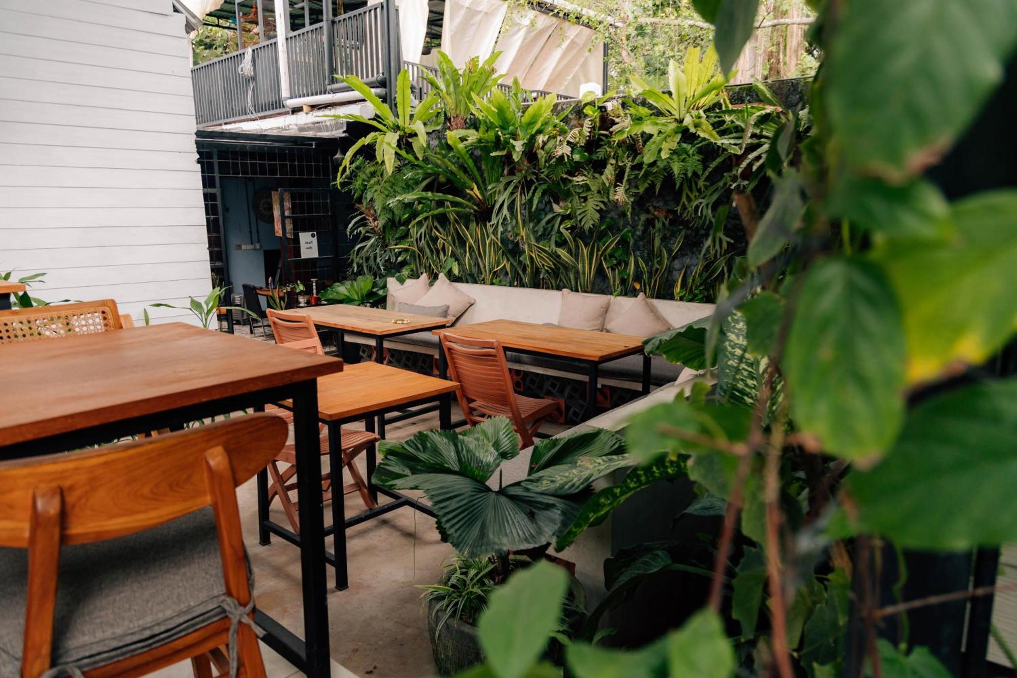 The Jungle Hostel Canggu Extérieur photo