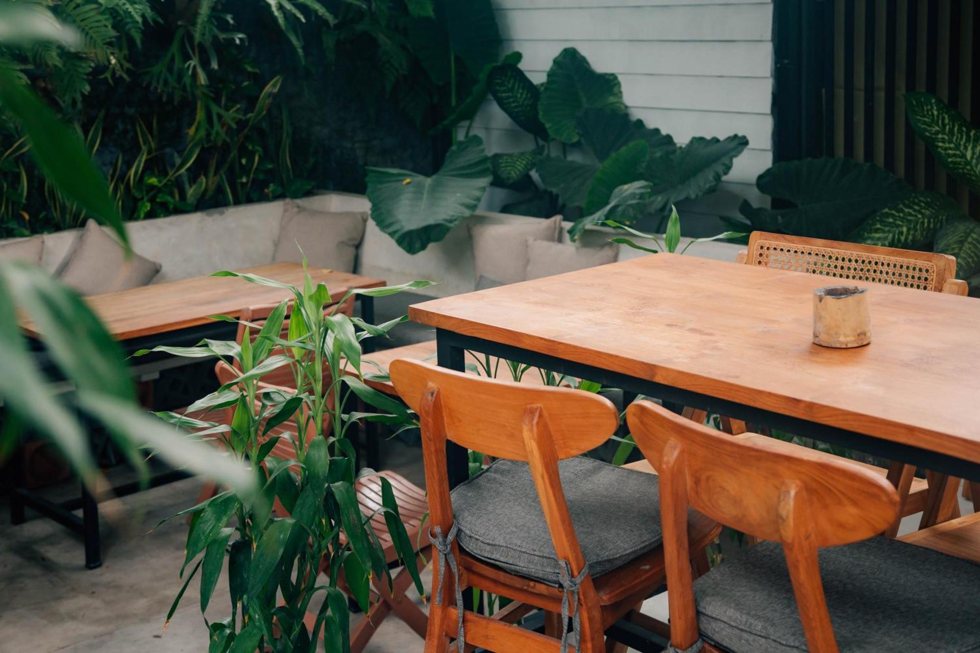 The Jungle Hostel Canggu Extérieur photo