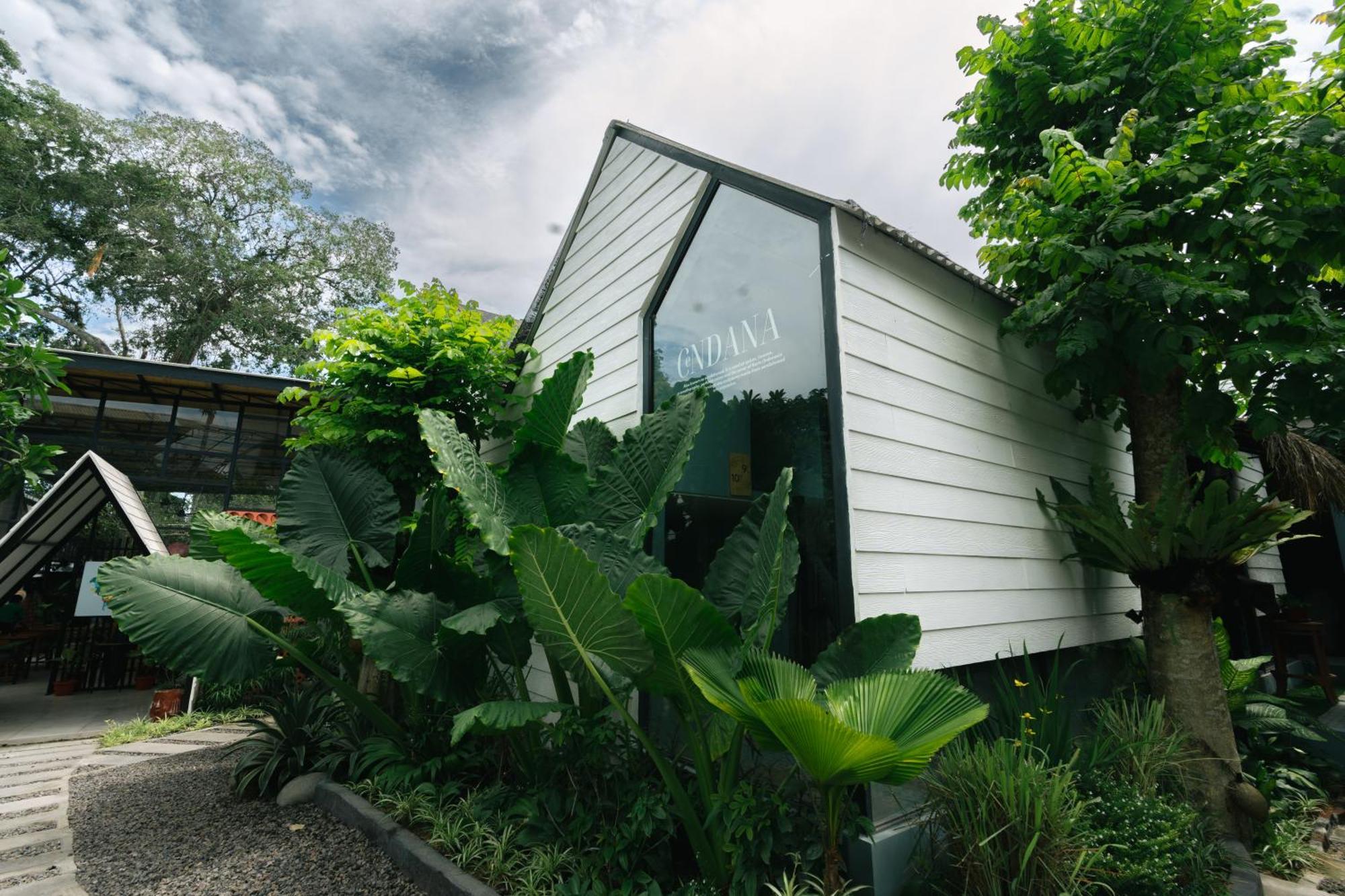 The Jungle Hostel Canggu Extérieur photo