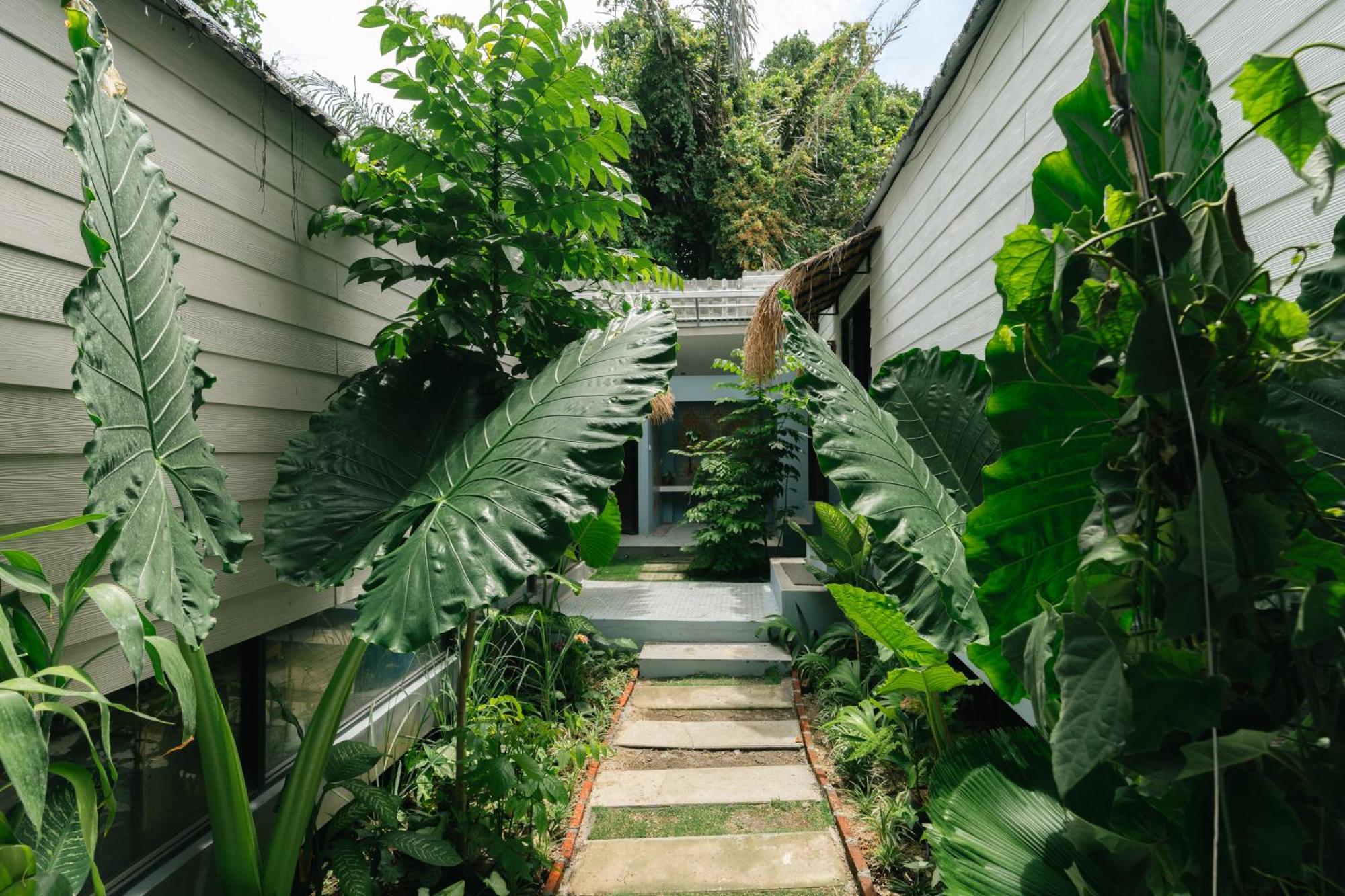 The Jungle Hostel Canggu Extérieur photo