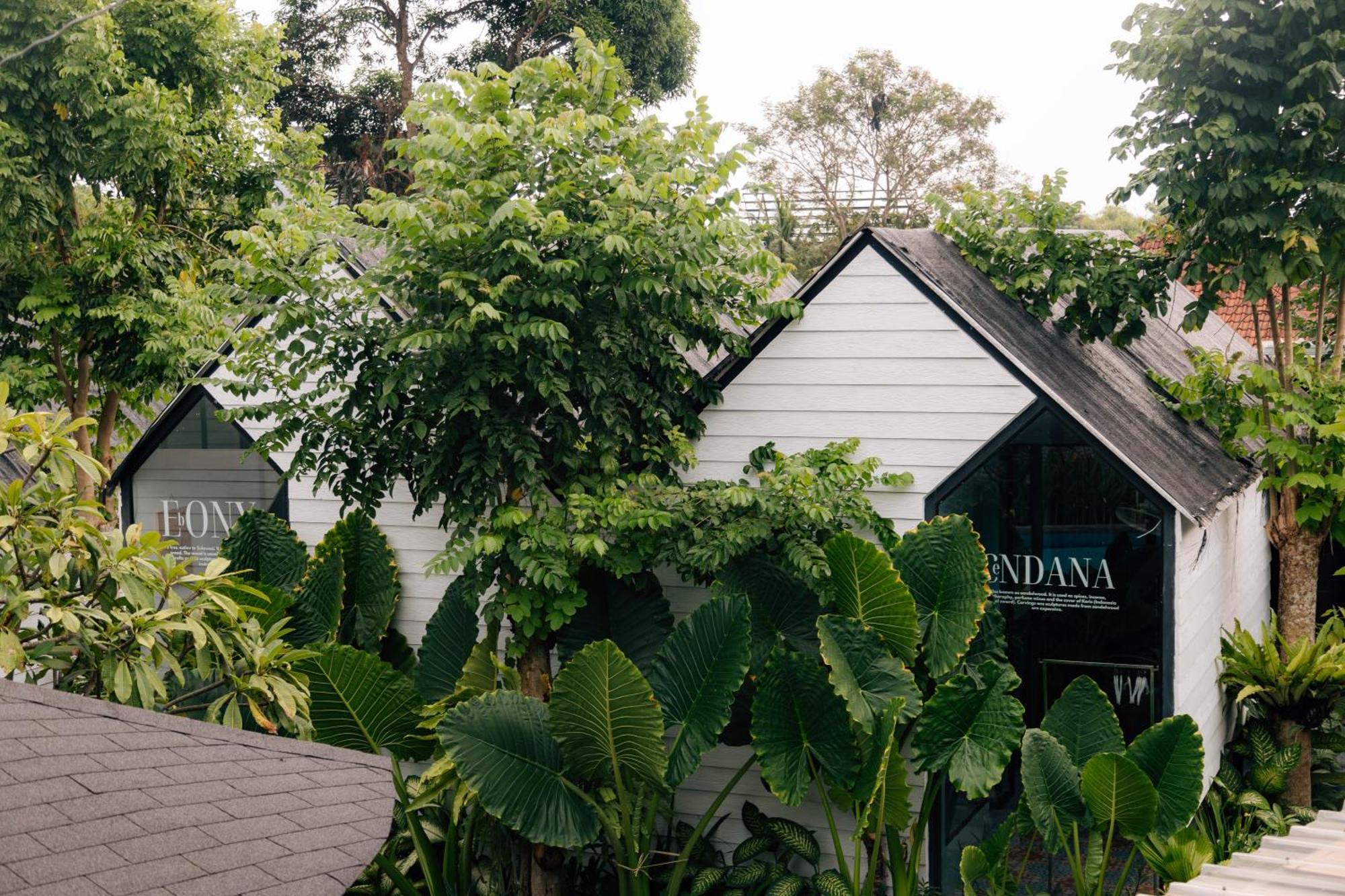 The Jungle Hostel Canggu Extérieur photo