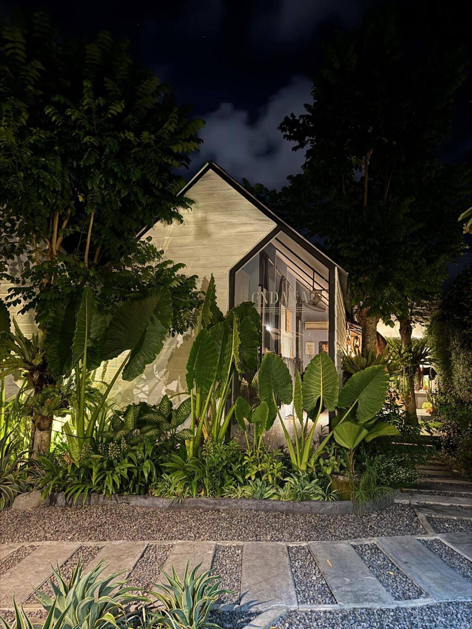 The Jungle Hostel Canggu Extérieur photo